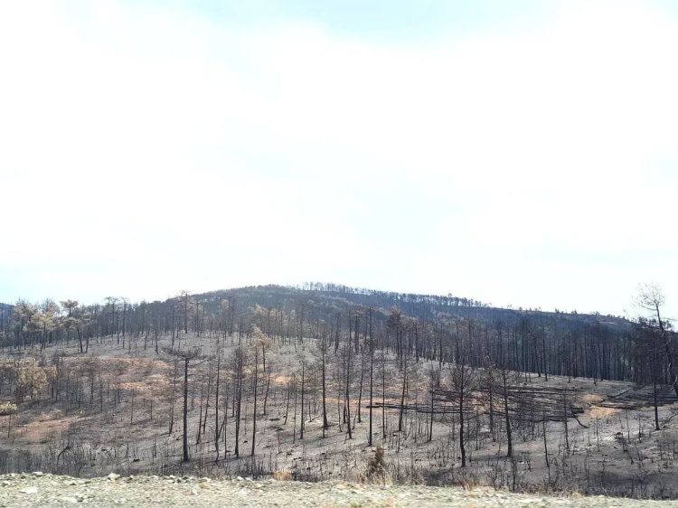 TMMOB Bursa İl Koordinasyon Kurulu’ndan Harmancık’a ziyaret -Bursa Hayat-2