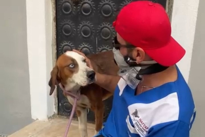 Harmancık yangınında kurtarıldı: “Bıdık” evine döndü!