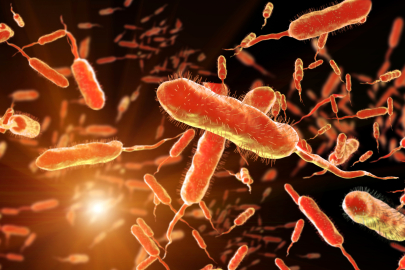 Türkiye'de 'Et Yiyen Bakteri' vakası var mı? Bakanlık açıkladı!