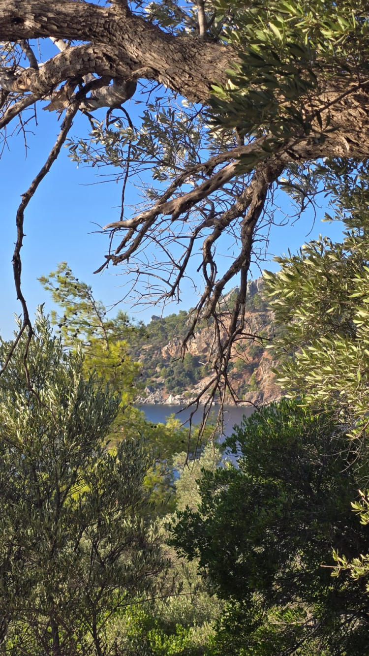 Arkası yarın; Son akşam yemeği-Bursa Hayat Gazetesi-4