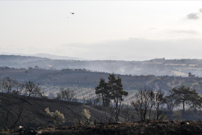 Çanakkale’deki orman yangını kontrol altına alındı mı? Bakan Yumaklı'dan açıklama
