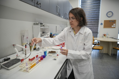 Nilüfer Çayı'nda umut ışığı: Yüzde 100’e varan arıtma başarısı