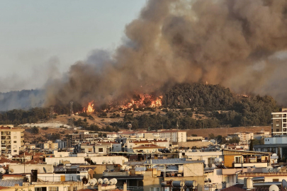 İzmir Buca’da orman yangını!