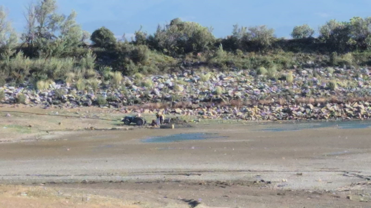 Mudanya’da 43 yıllık gölet kurudu-Bursa Hayat 2