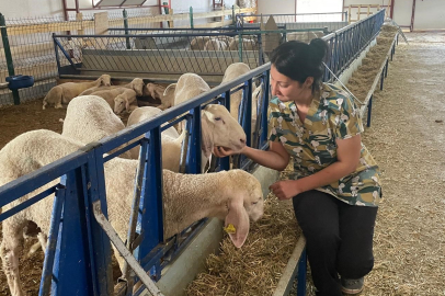 Veteriner Aybike Öz’den kırsalda örnek girişim