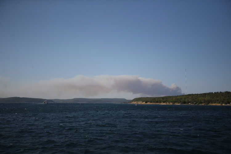 Çanakkale Gelibolu’da orman yangını- Bursa Hayat 2