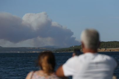 Çanakkale Gelibolu’da orman yangını