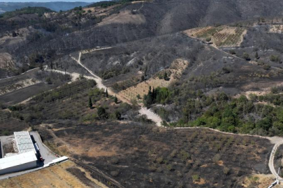 Kocaeli Karamürsel orman yangını kontrol altına alındı