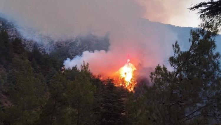 Afetlere karşı güvence! Sigortasız olmaz-Bursa Hayat Gazetesi-3