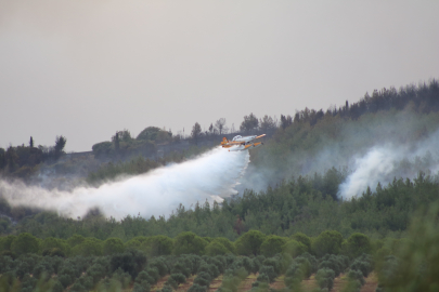 Tarım ve Orman Bakanı Yumaklı Gelibolu’daki yangında son durumu paylaştı