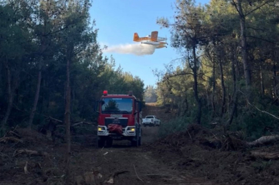 Türkiye’de 2025 yazı alev alev: 64 bin 500 hektar alan yandı