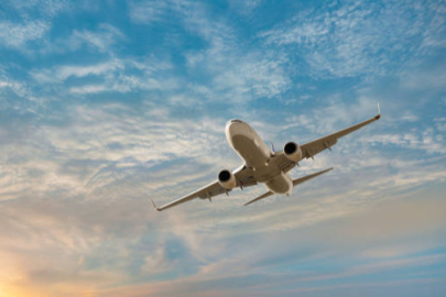 Uçaktaki menünün gerçek hali bambaşka çıktı: Bamya yanlış anlaşıldı