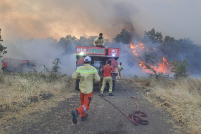 Bursa'da orman yangını alarmı!