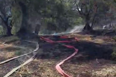 Mudanya’da Kumbağlar bölgesinde çıkan yangın korkuttu