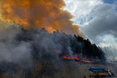 Bolu Mengen'de orman yangını! Ekipler seferber oldu