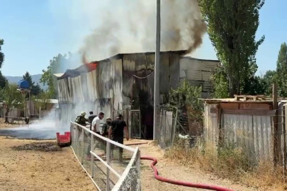 Nilüfer’de çiftlik yangını: Hayvanlar telef oldu!