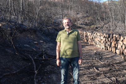 Gürsu’da yangın sonrası ağaçlandırma seferberliği!