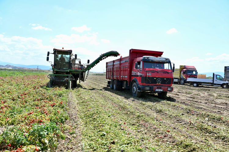 Karacabey Ovası’nda hasat! Başkan Karabatı üreticilerle buluştu -Bursa Hayat-2