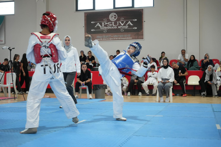 Yenişehir Minikler Taekwondo Şampiyonası’na ev sahipliği yaptı - Bursa Hayat Gazetesi-2