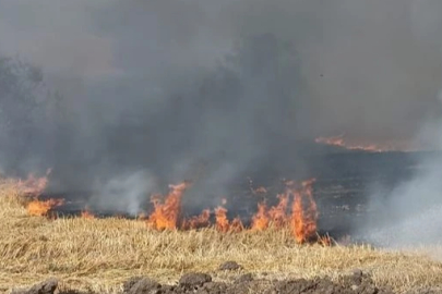 Bursa'da tarlada çıkan yangın söndürüldü!