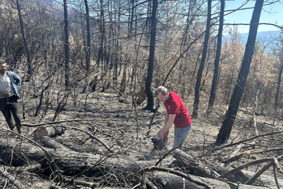 Gürsu'da yangın alanları yeniden yeşerecek!