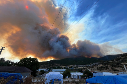 Yenişehir’de orman yangını!