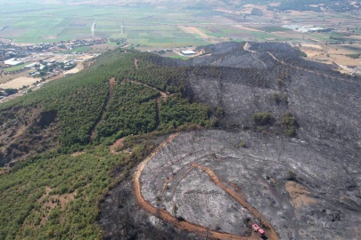 Bursa'daki orman yangınından geriye iç burkan manzara kaldı
