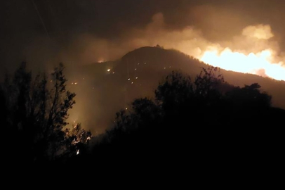 Denizli'de orman yangını: Müdahale sürüyor!