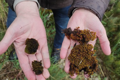 BUÜ’den geleceğe umut olacak proje