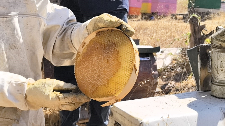 Bursa’nın şifa kaynağı karakovan balına yoğun ilgi!-Bursa Hayat Gazetesi-2