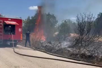 Bursa’da kırsal alanda yangın! Korkulan olmadan söndürüldü