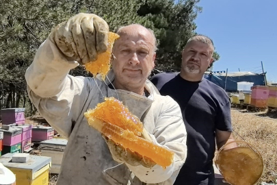 Bursa’nın şifa kaynağı karakovan balına yoğun ilgi!