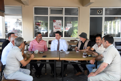 Siyah incirin kalbi Osmangazi’de hasat zamanı