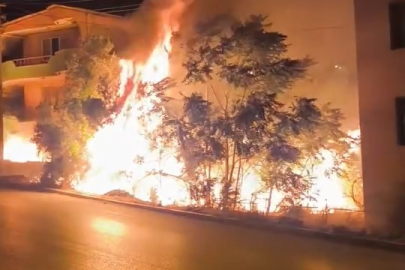 Bursa'da villaların olduğu bölgedeki yangın mahalleyi sokağa döktü
