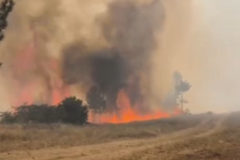 Bursa'da ekipleri alarma geçiren orman yangını!