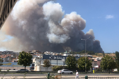 Bursa’da Gündoğdu Tepesi bölgesinde orman yangını