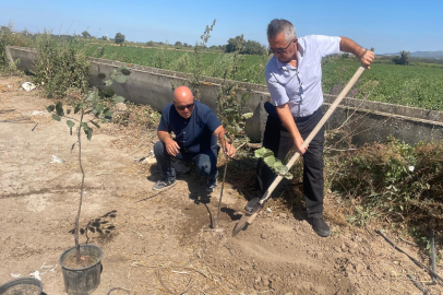 Bursa’da örnek çevre hareketi! Her kayıp ağaç için 10 fidan dikiyor