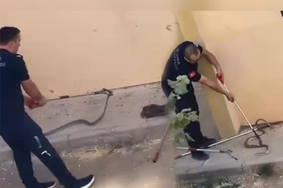 Bursa’da site bahçesinde 1,5 metrelik yılan paniği!