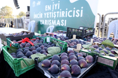 Nilüfer’de 11. Akçalar İncir Festivali için geri sayım başladı