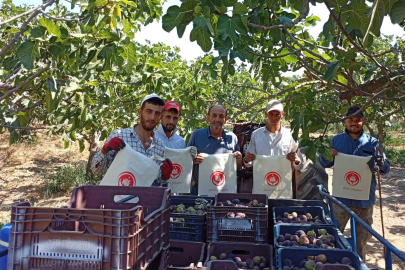 Bursa’da incir işçilerine “Aile Yılı” anlatıldı