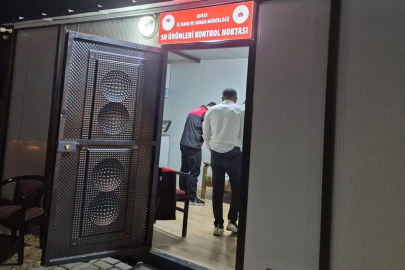 Bursa’da yasaklı balık satışına karşı sıkı denetim!