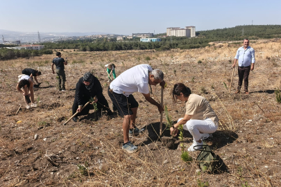 Nilüfer’de tütün bağımlılığından kurtulan vatandaşlar fidan dikti