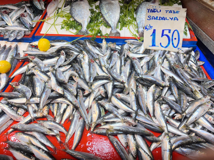 Balıkçılar temkinli başladı Sezon ilerledikçe bolluk bekleniyor - Bursa Hayat Gazetesi-4