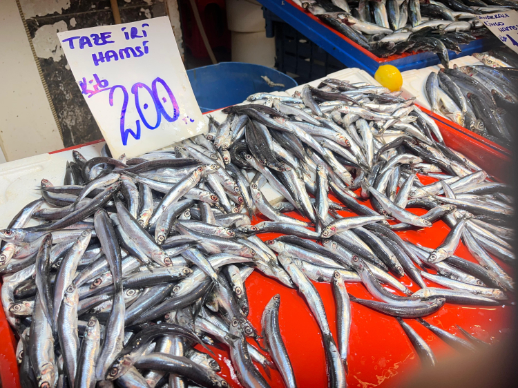Balıkçılar temkinli başladı Sezon ilerledikçe bolluk bekleniyor - Bursa Hayat Gazetesi-5