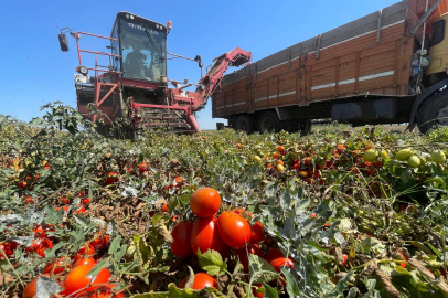 Karacabeyli çiftçiler zor günler yaşıyor!