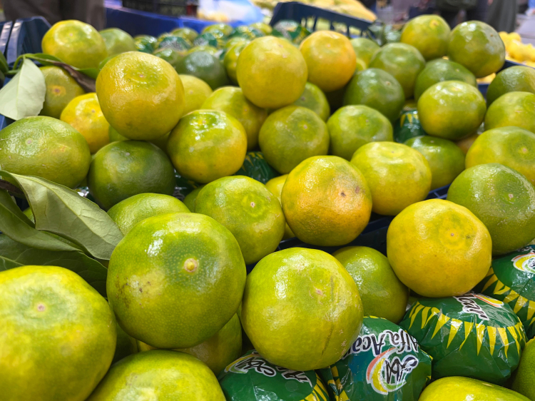 Kışın habercisi tezgahlarda yerini aldı - Bursa Hayat Gazetesi-2