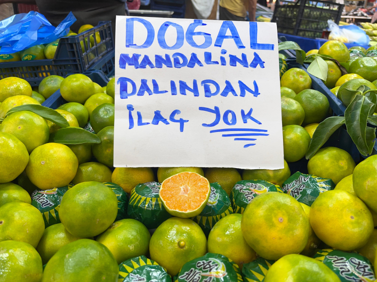 Kışın habercisi tezgahlarda yerini aldı - Bursa Hayat Gazetesi-3