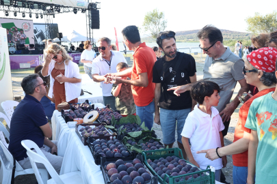 Bursa Siyah İnciri lezzet ve kültürle tanıtıldı