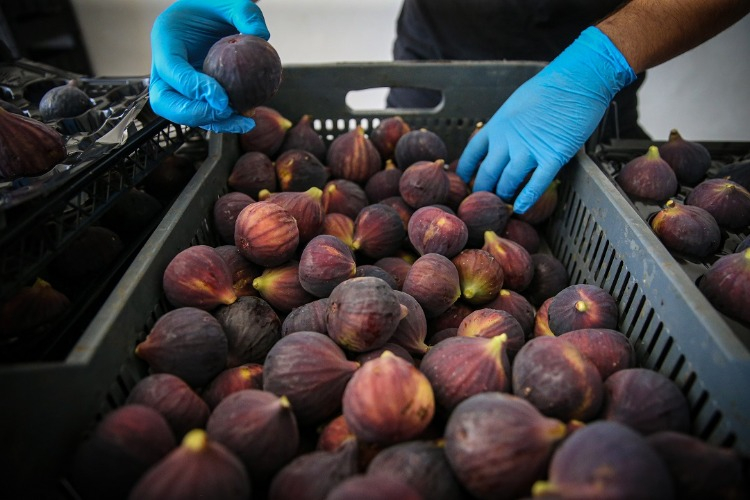 Üreticiden Olumlu Geri Bildirimler