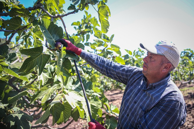 Avrupa’dan Arap Ülkelerine Geniş Bir Pazar